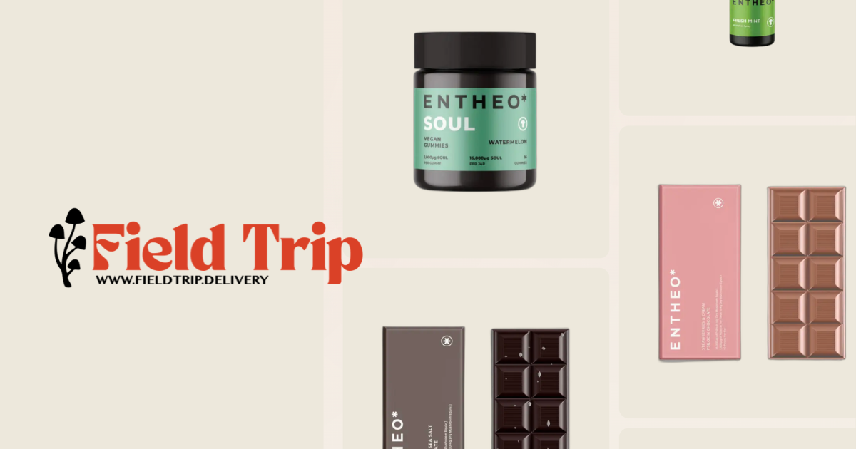 Field Trip Delivery